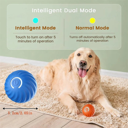 🐾 Dogzeno™ Smart Dog Toy Ball