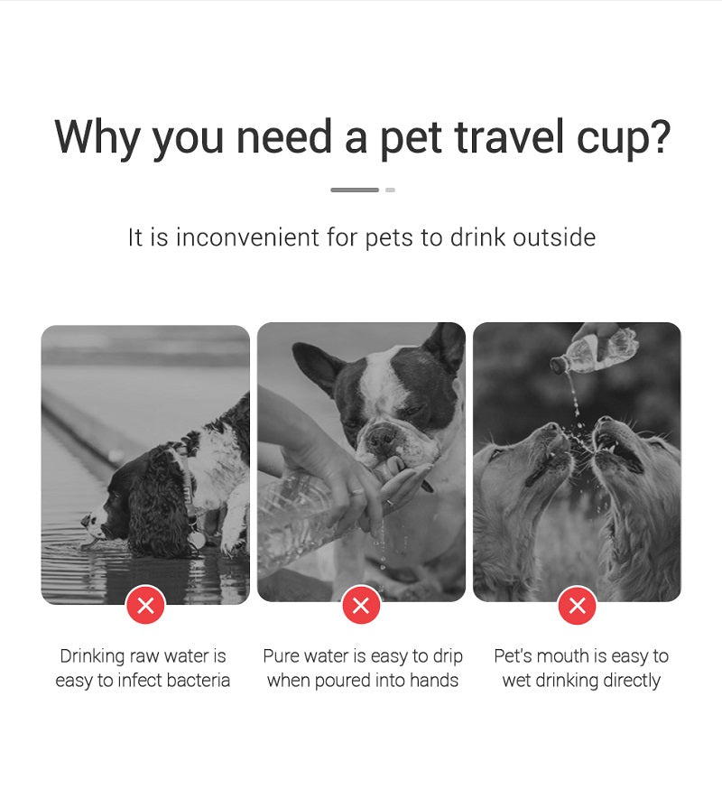 🐾 Dogzeno™ Portable Dog Water Bottle  Hydration Anywhere, Anytime  Keep your dog fresh and hydrated on every adventure with the Dogzeno™ Portable Water Bottle — designed for convenience, safety, and everyday use.