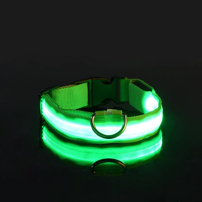 🐾 Dogzeno™ LED Safety Dog Leash