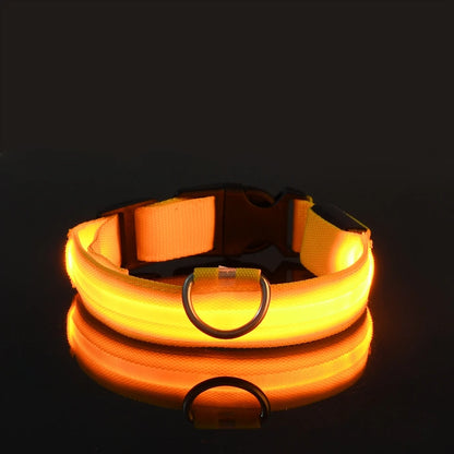 🐾 Dogzeno™ LED Safety Dog Leash