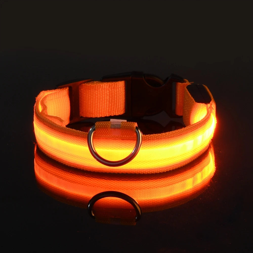 🐾 Dogzeno™ LED Safety Dog Leash