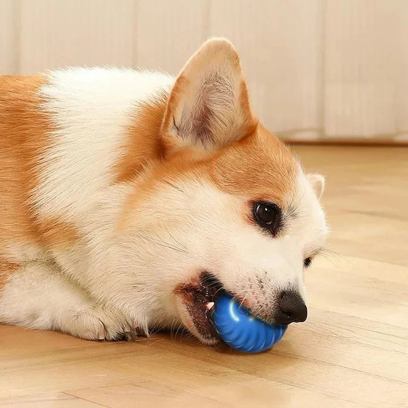 🐾 Dogzeno™ Smart Dog Toy Ball