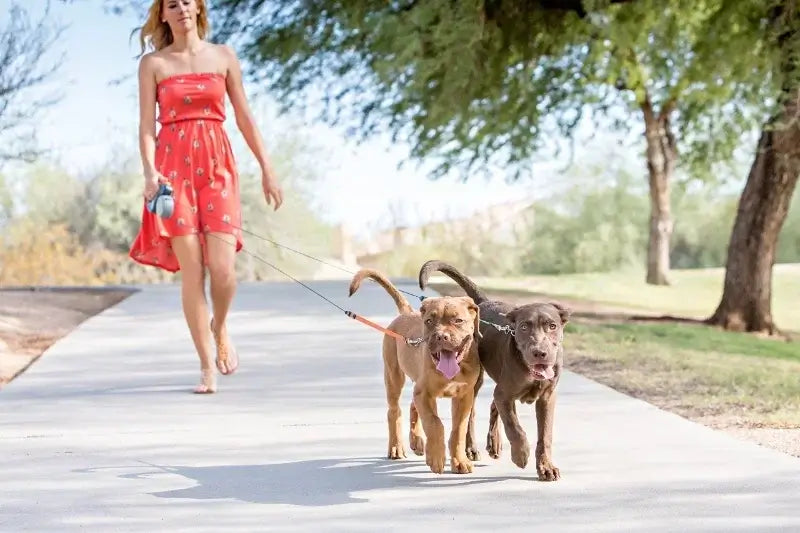 Retractable Double Dog Leash – Reflective 360° Swivel, LED Light & No-Tangle Pet Lead for Small Dogs