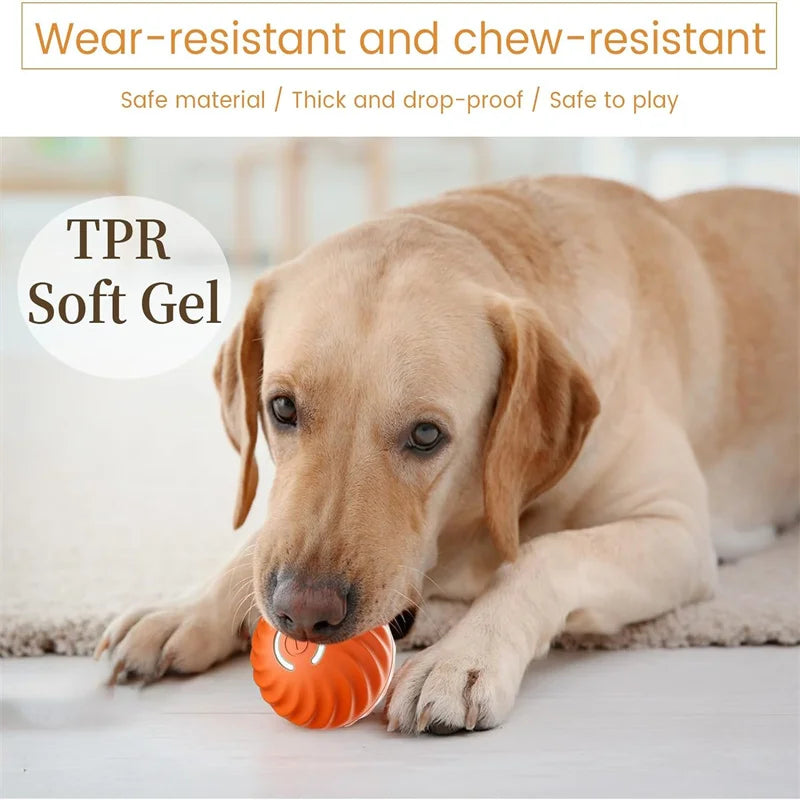 🐾 Dogzeno™ Smart Dog Toy Ball