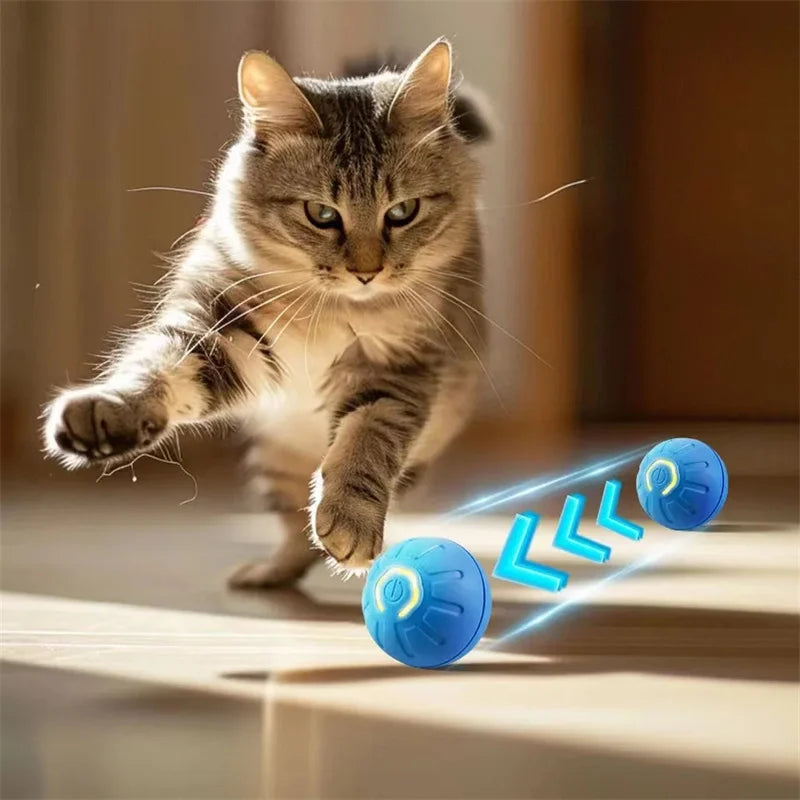 🐾 Dogzeno™ Smart Dog Toy Ball