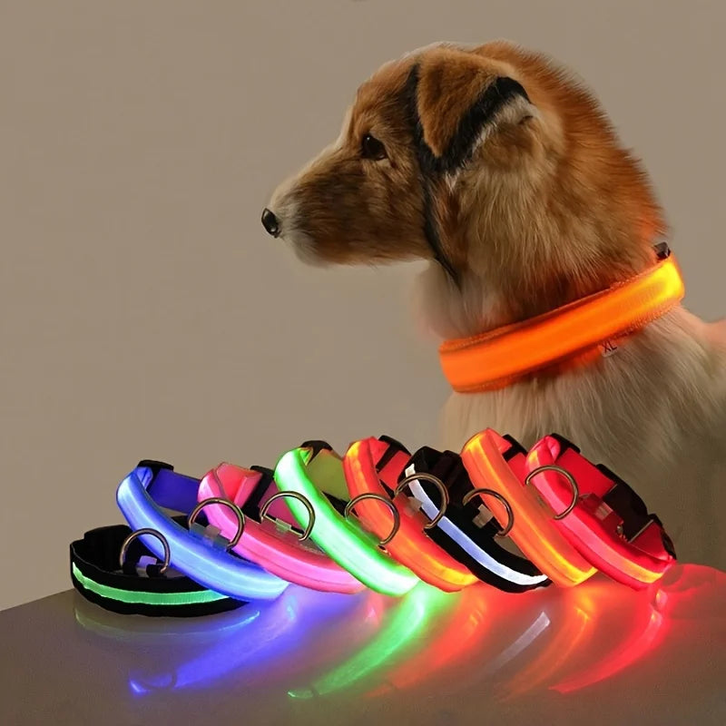 LED Nylon Dog Leash Night Safety Glow