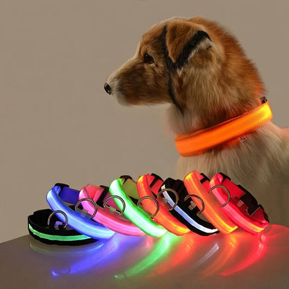 LED Nylon Dog Leash Night Safety Glow