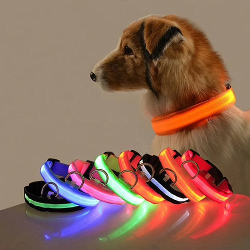 LED Nylon Dog Leash Night Safety Glow