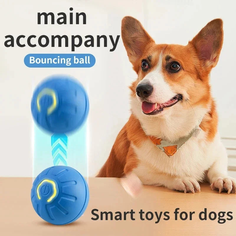 🐾 Dogzeno™ Smart Dog Toy Ball