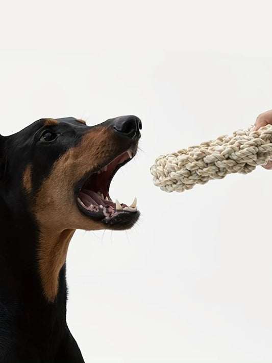 Bite Resistant Rope Toy for Dogs