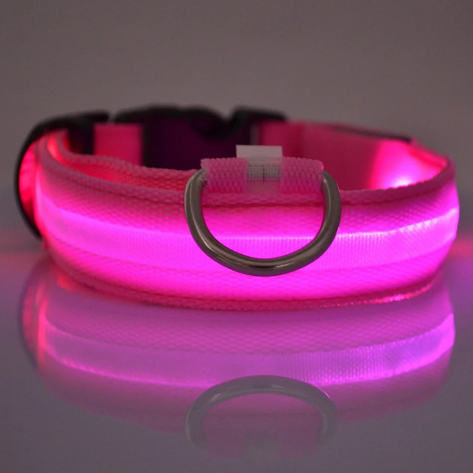 Dog Leash with LED Lights for Visibility