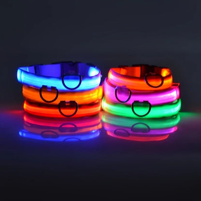 Durable Nylon LED Leash for Dogs