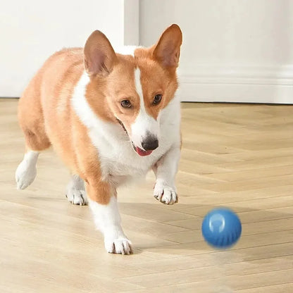 🐾 Dogzeno™ Smart Dog Toy Ball