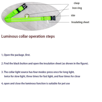 Weatherproof LED Dog Leash Outdoors