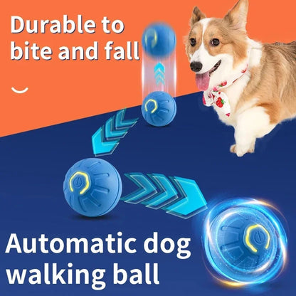 🐾 Dogzeno™ Smart Dog Toy Ball