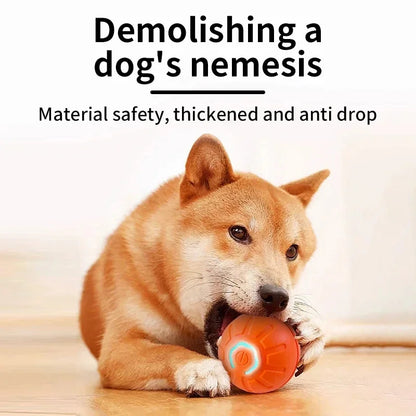 🐾 Dogzeno™ Smart Dog Toy Ball