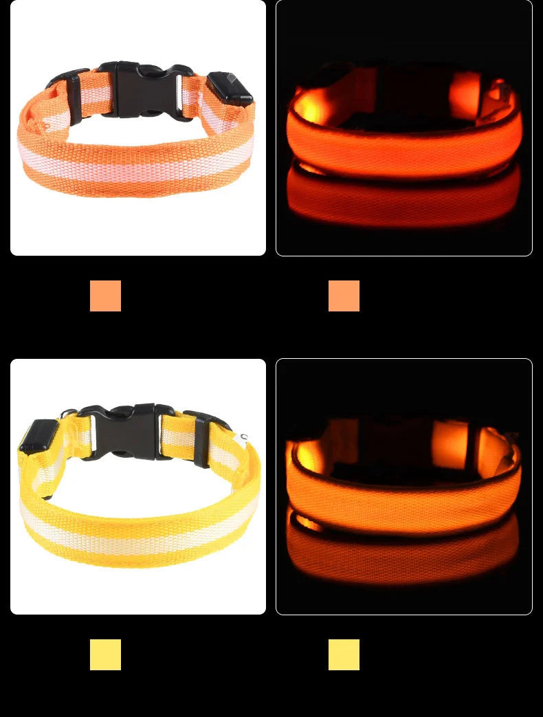 🐾 Dogzeno™ LED Safety Dog Leash