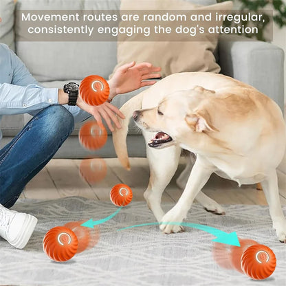 🐾 Dogzeno™ Smart Dog Toy Ball