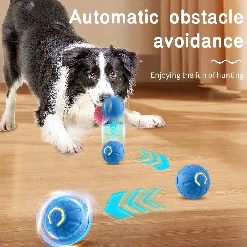🐾 Dogzeno™ Smart Dog Toy Ball