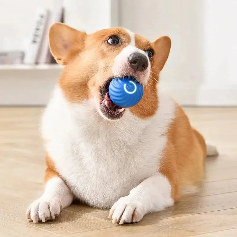 🐾 Dogzeno™ Smart Dog Toy Ball