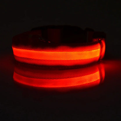 🐾 Dogzeno™ LED Safety Dog Leash