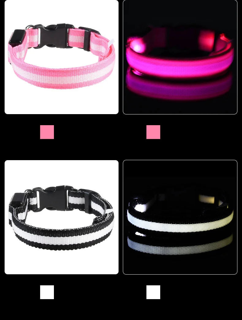 🐾 Dogzeno™ LED Safety Dog Leash