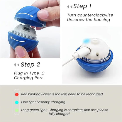 🐾 Dogzeno™ Smart Dog Toy Ball