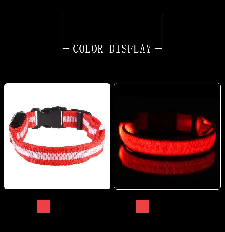 🐾 Dogzeno™ LED Safety Dog Leash