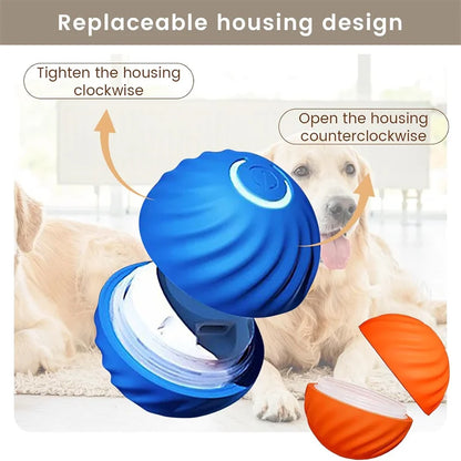 🐾 Dogzeno™ Smart Dog Toy Ball